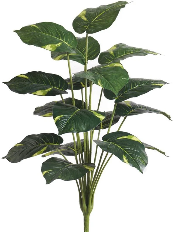 Nettenevime Yapay Çiçek Demet Tropik Diffenbahya 18 Dal 70 cm Salon Çiçeği Yapay Bitki - Resim 5