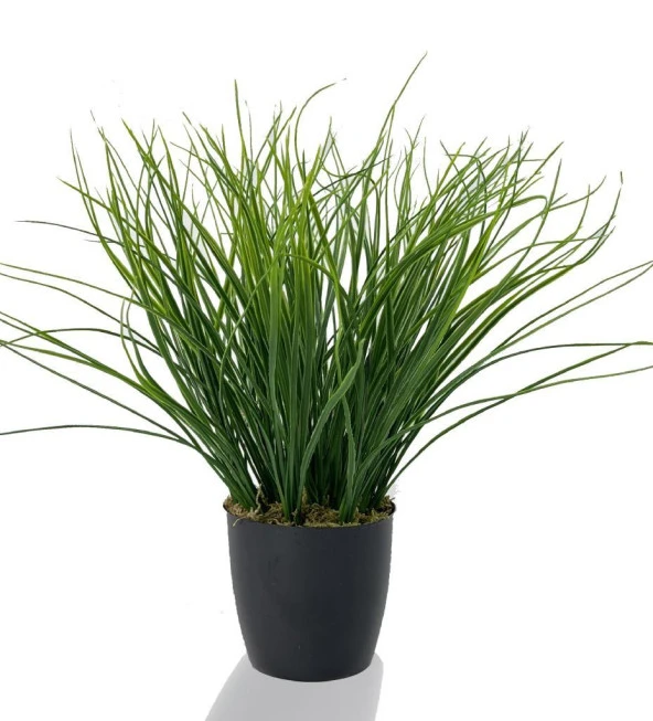 Nettenevime Yapay Çiçek Grass Saz Yapay Bitki Siyah Plastik Saksılı Dekoratif Süs Çiçeği