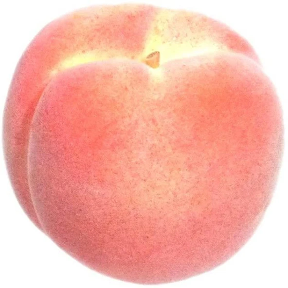 Nettenevime Yapay ŞEFTALİ 6 lı Paket  Yapay Meyve - Resim 2