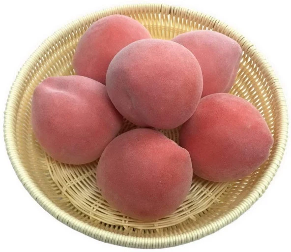 Nettenevime Yapay ŞEFTALİ 6 lı Paket  Yapay Meyve - Resim 4