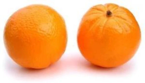 Nettenevime Yapay PORTAKAL 6 lı Paket  Yapay Meyve - Resim 2