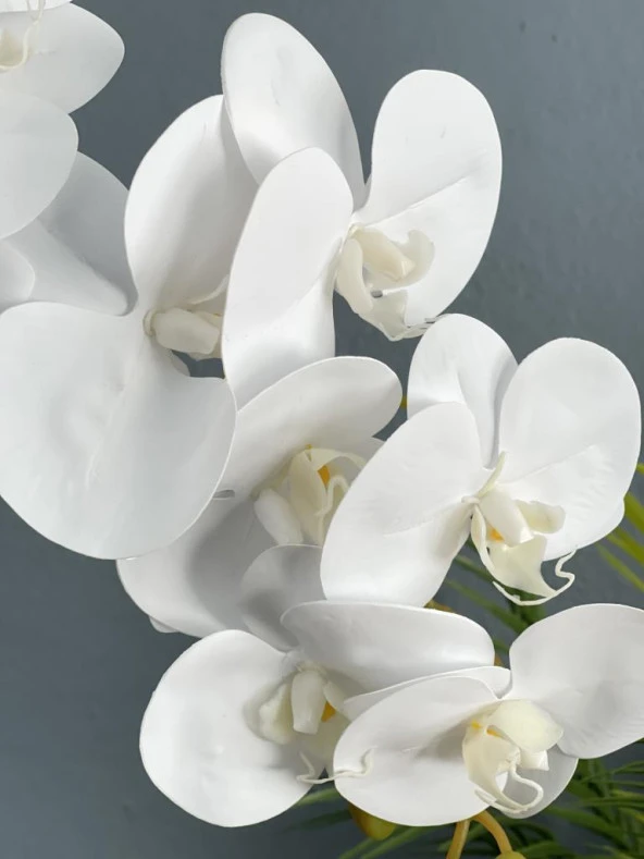 Nettenevime Yapay Çiçek Beyaz Islak Orkide Seramik Saksıda Tek Dal Orkide 60cm - Resim 2