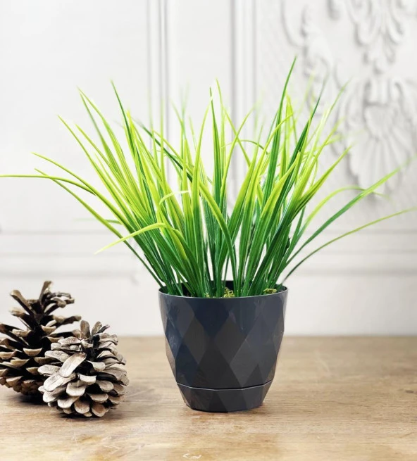 Nettenevime Yapay Çiçek Mini Siyah Saksıda Saz Ot Gerçekçi Doku ürün görseli 1