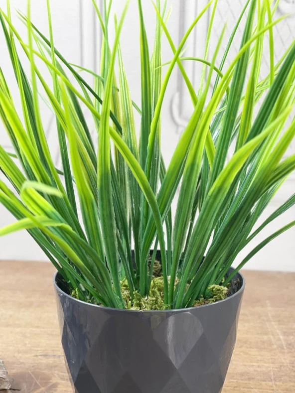 Nettenevime Yapay Çiçek Mini Siyah Saksıda Saz Ot Gerçekçi Doku - Resim 2