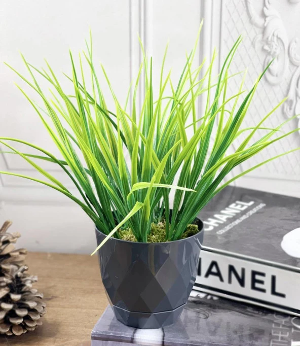 Nettenevime Yapay Çiçek Mini Siyah Saksıda Saz Ot Gerçekçi Doku - Resim 4