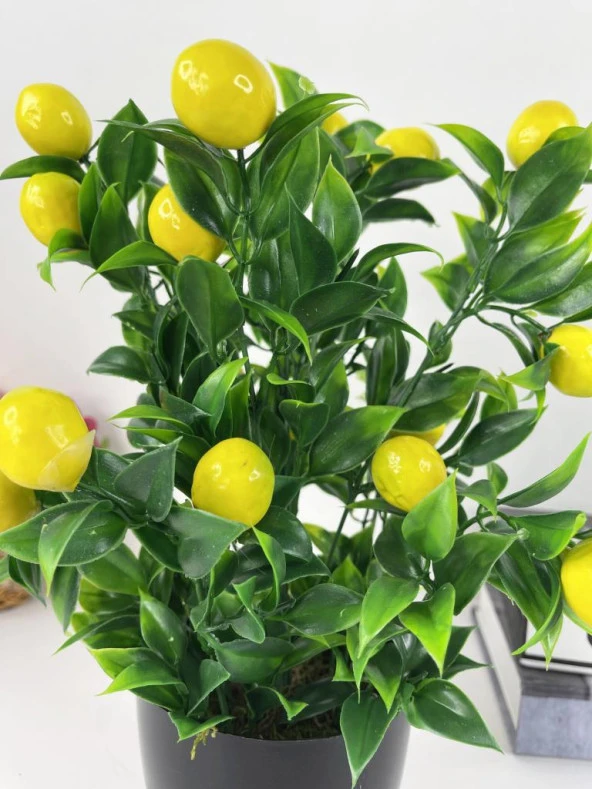 Nettenevime Yapay Çiçek 3 Adet Nar Limon Ve Mandalina Ağacı Siyah Saksıda 30cm - Resim 3