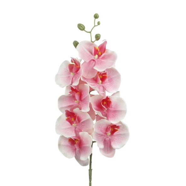 Nettenevime Yapay Çiçek Pembe Orkide Uzun Tek Dal 90 cm