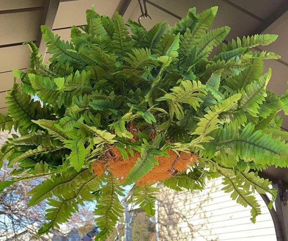 Nettenevime Yapay Çiçek Aşk Merdiveni Açık Yeşil Eğrelti Otu Bitkisi 24 Yaprak 55cm Yapay Bitki - 5