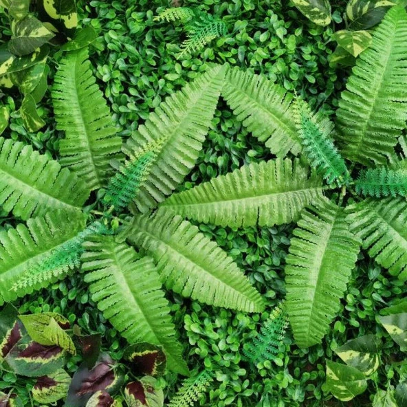 Nettenevime Yapay Çiçek Aşk Merdiveni Açık Yeşil Eğrelti Otu Bitkisi 24 Yaprak 55cm Yapay Bitki - 8