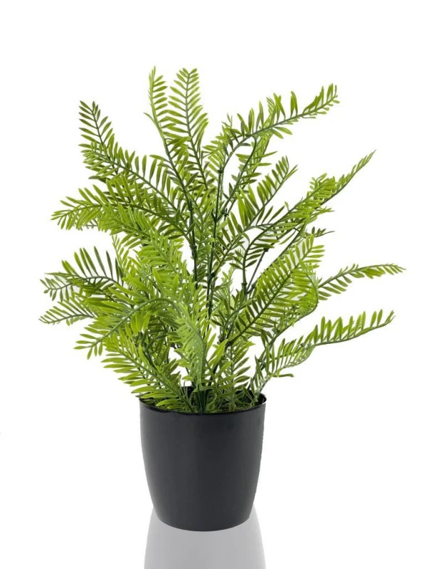 Nettenevime Yapay Çiçek Siyah Saksıda Boston Fern Büyük Boy 38x25
