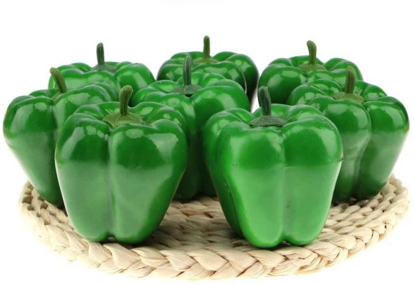 Yapay Yeşil California Biber Dolma Biber 1adet 10*7 cm Gerçek Boyut - 3