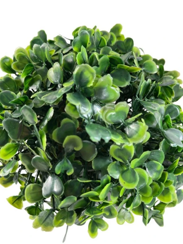 Nettenevime Yapay Çiçek Şimşir Bonus 19*17cm Yapay Bitki Siyah Plastik Saksılı Dekoratif Süs Çiçeği - 5