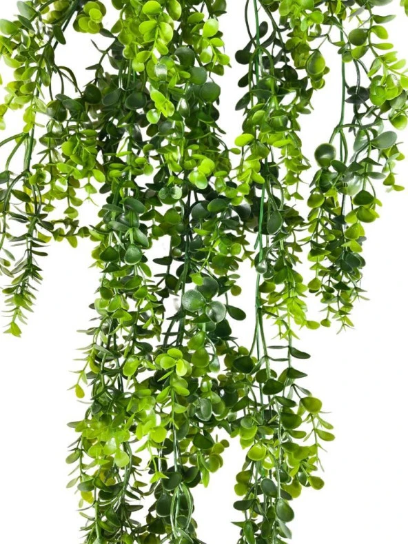 Nettenevime Yapay Çiçek Sarkan Şimşir Okaliptus Yapay Sarmaşık - Resim 6