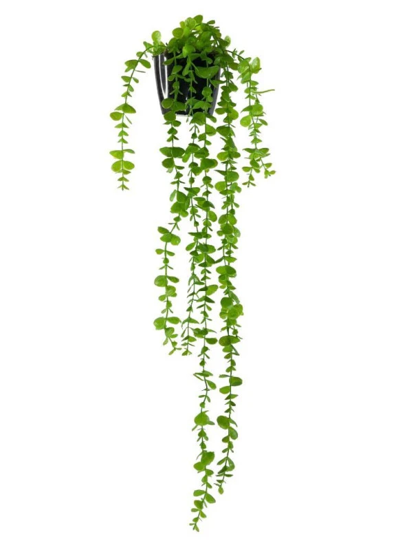 Nettenevime Yapay Çiçek Saksıda Sarkan Okaliptus 80cm ürün görseli 1