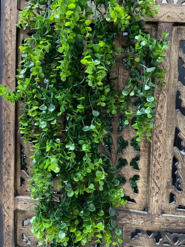 Nettenevime Yapay Çiçek Sarkan Şimşir Okaliptus Yapay Sarmaşık - Resim 8