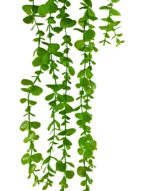 Nettenevime Yapay Çiçek Saksıda Sarkan Okaliptus 80cm - Resim 4