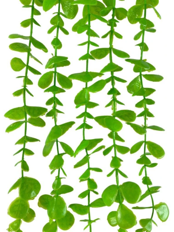 Nettenevime Yapay Çiçek Sarkan Okaliptus 80cm 5dal Yeşil Açık - 3