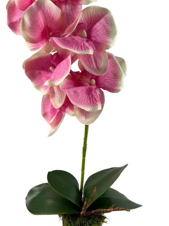 Nettenevime Yapay Çiçek Kütük Saksılı Tekdal Orkide PEMBE 50*30cm - Resim 3