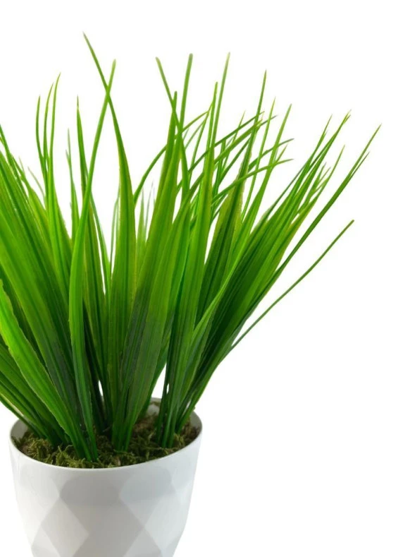 Nettenevime Yapay Çiçek Beyaz Saksıda Saz Ot Yeşil Dekoratif Masa Çiçeği - Resim 4