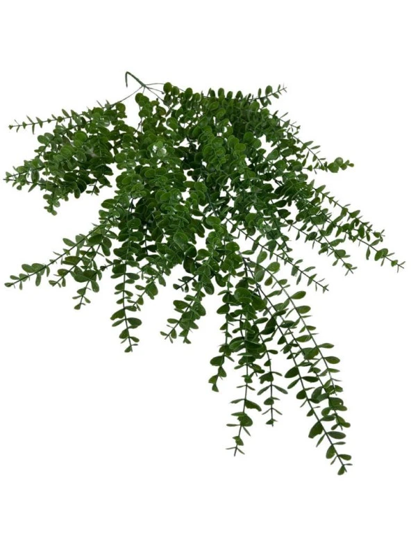 Nettenevime Yapay Çiçek Sarkan Şimşir Okaliptus Jumbo Boy 75*35cm Yapay Sarmaşık ürün görseli 1