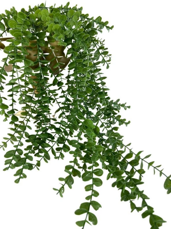 Nettenevime Yapay Çiçek Sarkan Şimşir Okaliptus Jumbo Boy 75*35cm Yapay Sarmaşık - Resim 3