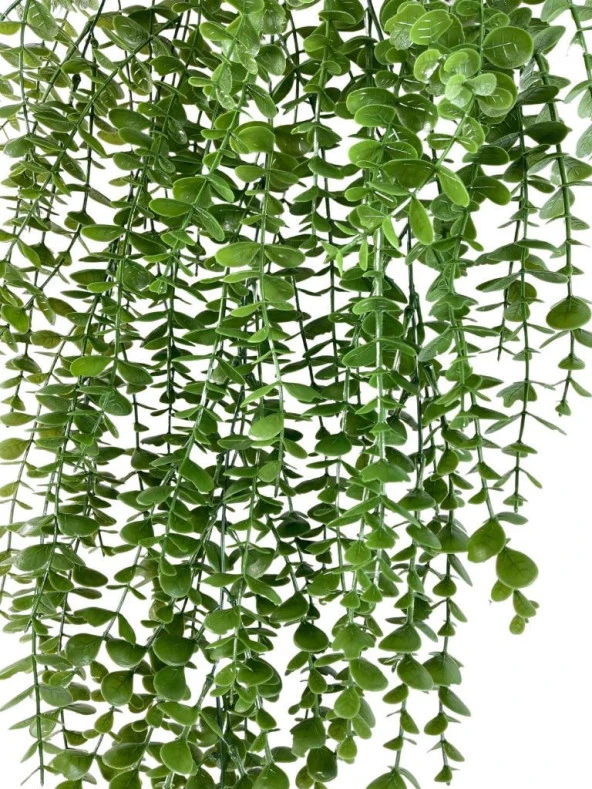 Nettenevime Yapay Çiçek Sarkan Şimşir Okaliptus Jumbo Boy 75*35cm Yapay Sarmaşık - Resim 4