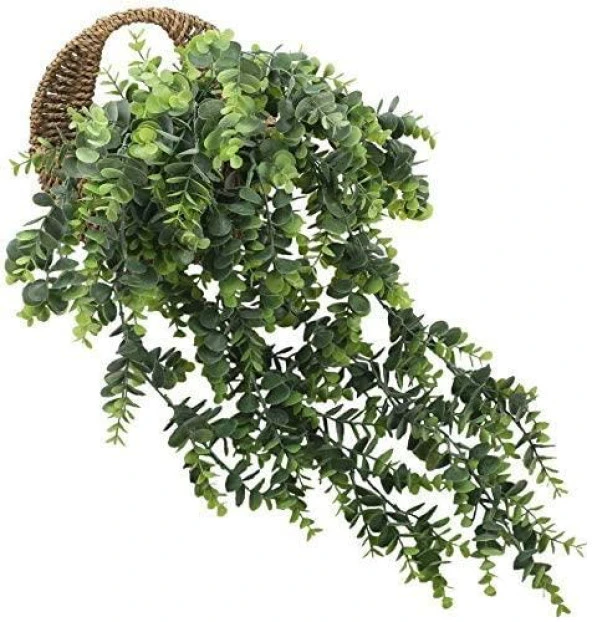 Nettenevime Yapay Çiçek Sarkan Şimşir Okaliptus Jumbo Boy 75*35cm Yapay Sarmaşık - Resim 5