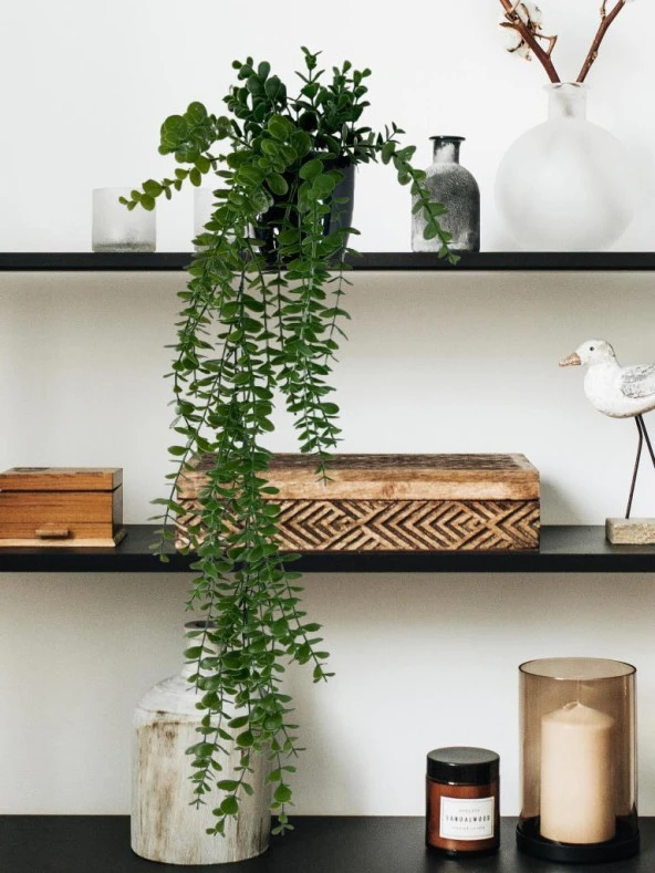 Nettenevime Yapay Çiçek Saksıda Sarkan Şimşir Okaliptus Yapay Sarmaşık Pastel  75cm - Resim 5