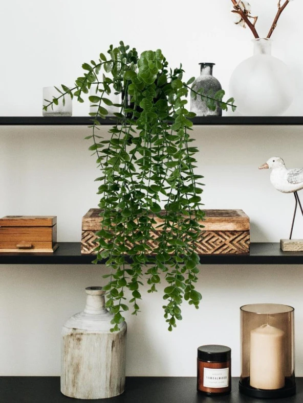 Nettenevime Yapay Çiçek Saksıda Sarkan Şimşir Okaliptus Yapay Sarmaşık Pastel 60cm - Resim 2