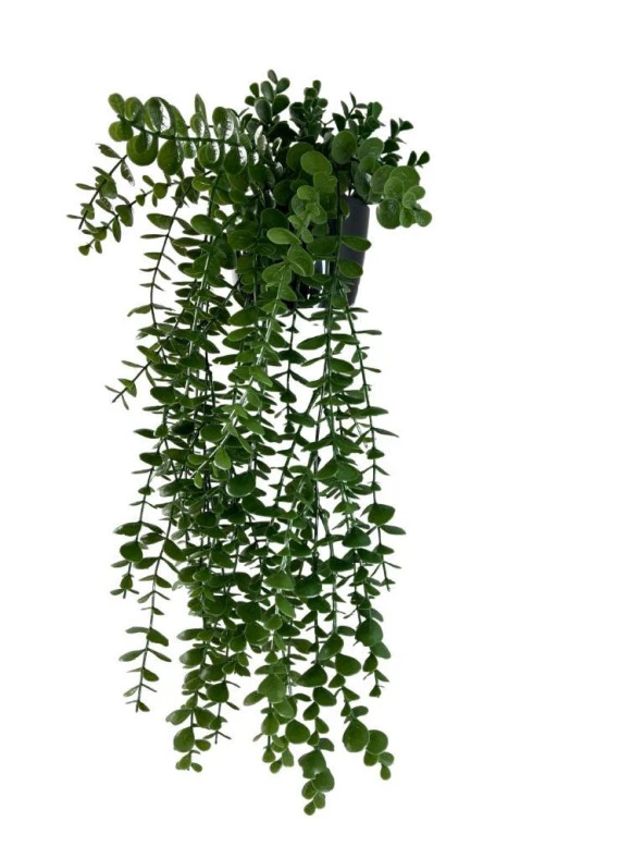 Nettenevime Yapay Çiçek Saksıda Sarkan Şimşir Okaliptus Yapay Sarmaşık Pastel 60cm - Resim 3