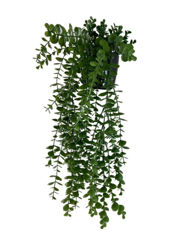 Nettenevime Yapay Çiçek Saksıda Sarkan Şimşir Okaliptus Yapay Sarmaşık Pastel 60cm - Resim 5