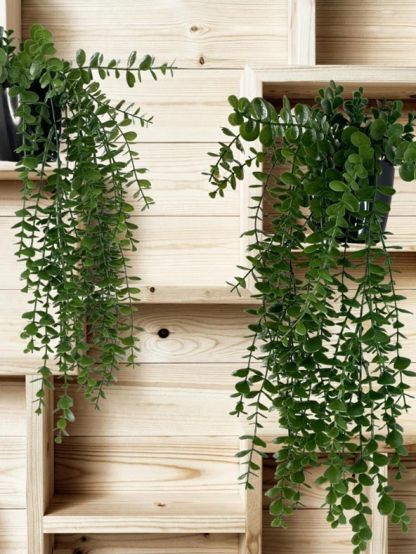 Nettenevime Yapay Çiçek Saksıda Sarkan Şimşir Okaliptus Yapay Sarmaşık Pastel 60cm - Resim 6