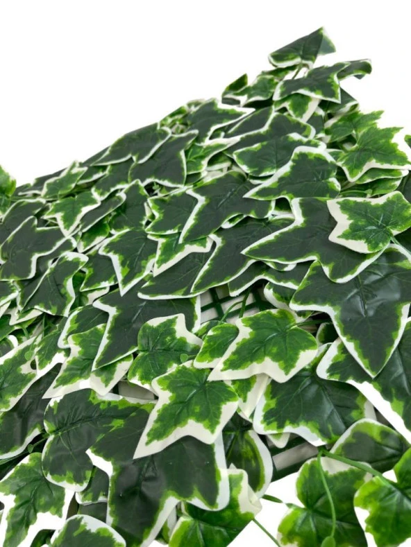 Nettenevime Yapay Çiçek Duvar Kaplama Panel Sarmaşık Hedera Tabaka 45x60 cm YeşilBeyaz Dik Duvar Uygulama - Resim 2