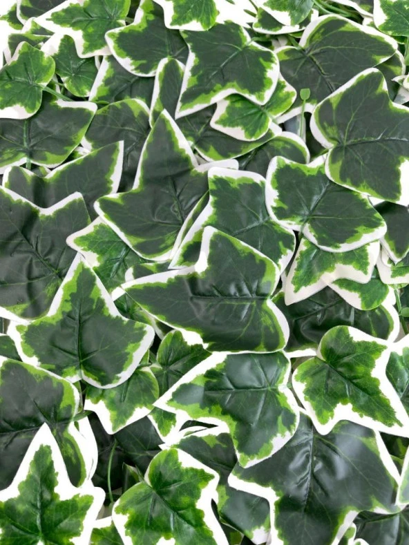 Nettenevime Yapay Çiçek Duvar Kaplama Panel Sarmaşık Hedera Tabaka 45x60 cm YeşilBeyaz Dik Duvar Uygulama - Resim 3