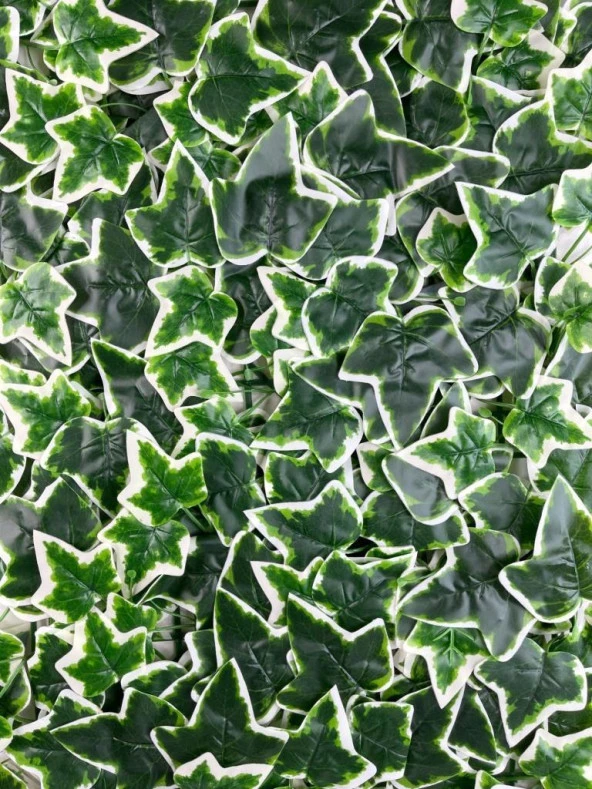 Nettenevime Yapay Çiçek Duvar Kaplama Panel Sarmaşık Hedera Tabaka 45x60 cm YeşilBeyaz Dik Duvar Uygulama - Resim 5