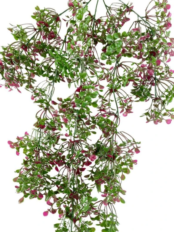 Nettenevime Yapay Çiçek Sarkan Çiçek Bordo Yeşil Fare Kulağı Şimşir Yapay Sarmaşık  60*30cm UV Katkılı Güneşe Dayanıklı - Resim 4