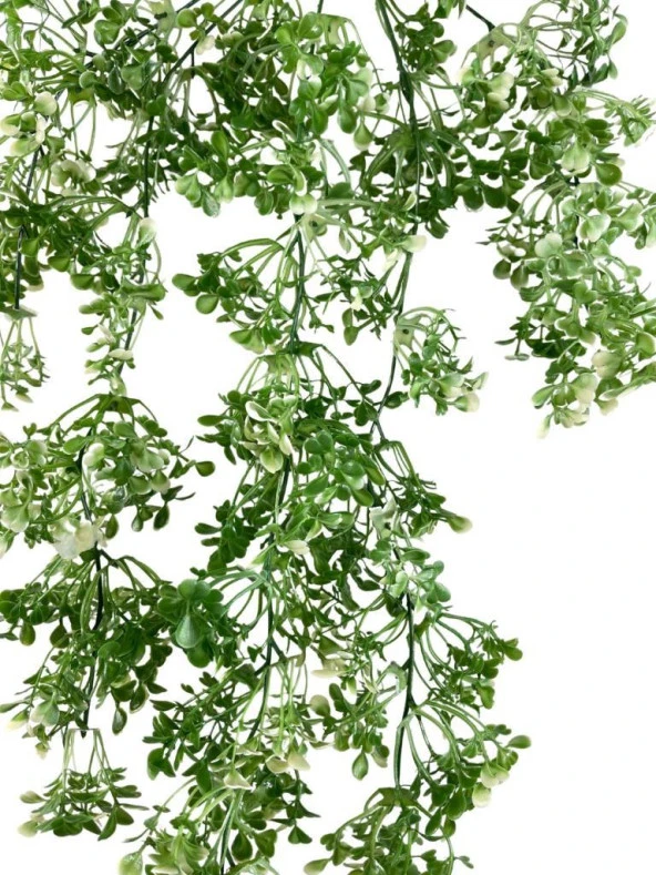 Nettenevime Yapay Çiçek Sarkan Çiçek Yeşil Beyaz Fare Kulağı Şimşir Yapay Sarmaşık  60*30cm UV Katkılı Güneşe Dayanıklı - Resim 2