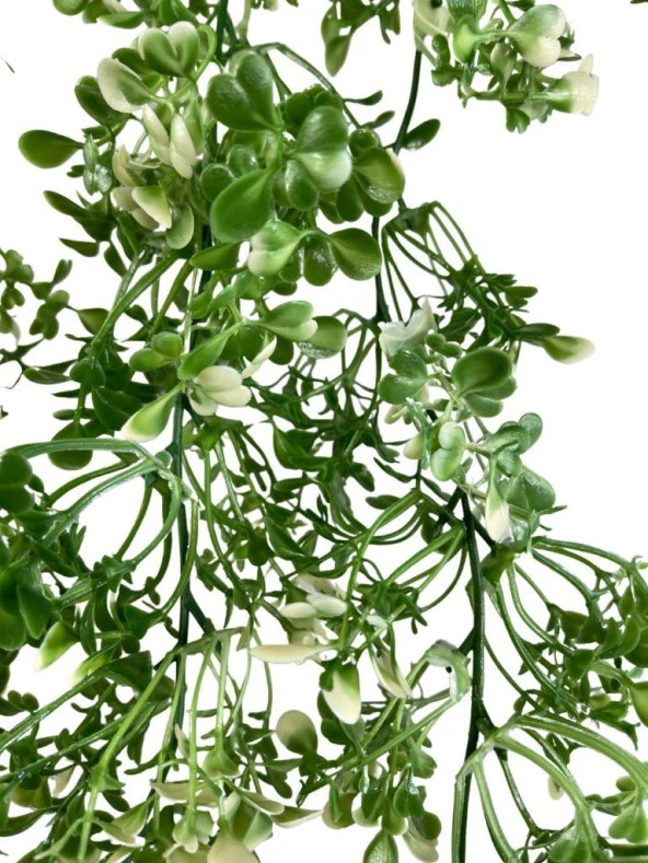 Nettenevime Yapay Çiçek Sarkan Çiçek Yeşil Beyaz Fare Kulağı Şimşir Yapay Sarmaşık  60*30cm UV Katkılı Güneşe Dayanıklı - Resim 3