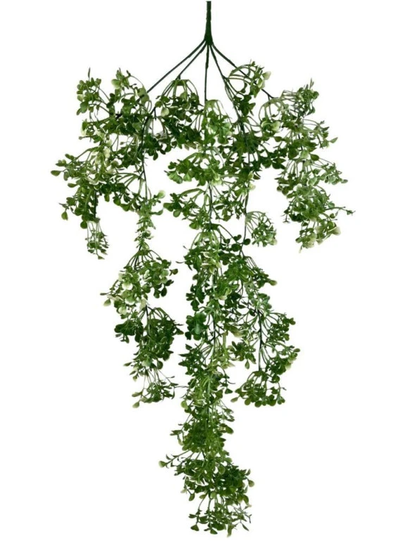 Nettenevime Yapay Çiçek Sarkan Çiçek Yeşil Beyaz Fare Kulağı Şimşir Yapay Sarmaşık  60*30cm UV Katkılı Güneşe Dayanıklı - Resim 6