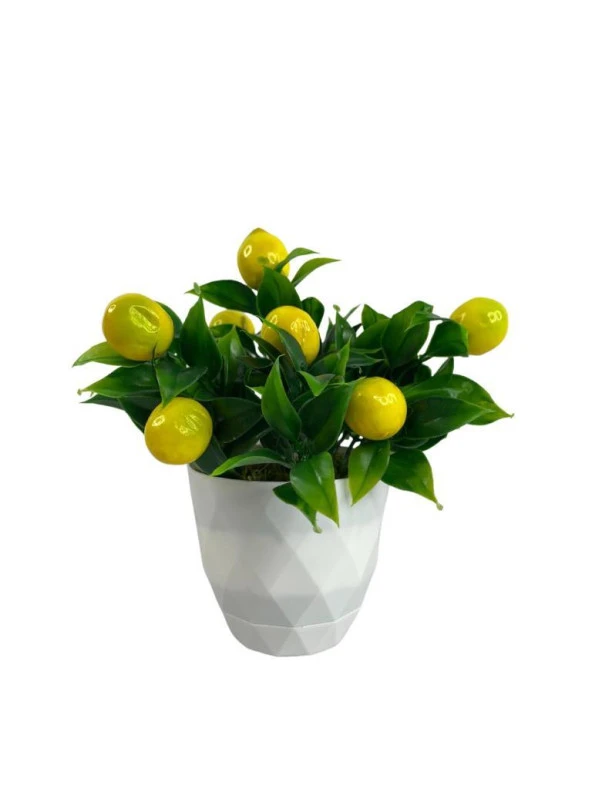 Nettenevime Yapay Çiçek Beyaz Saksıda Limon Dekoratif Masa Çiçeği 25cm - 3