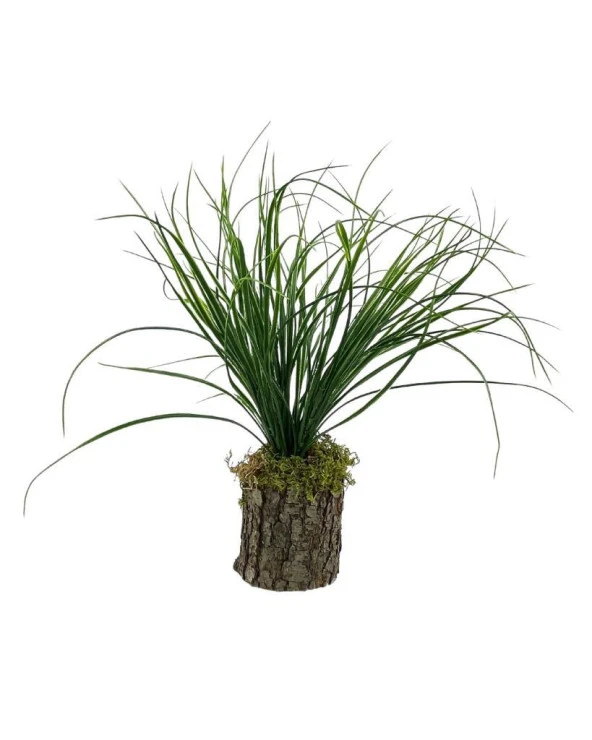 Yapay Çiçek Kütük Saksıda Saz Otu 35cm  Dekoratif Masa Çiçeği 40*20cm