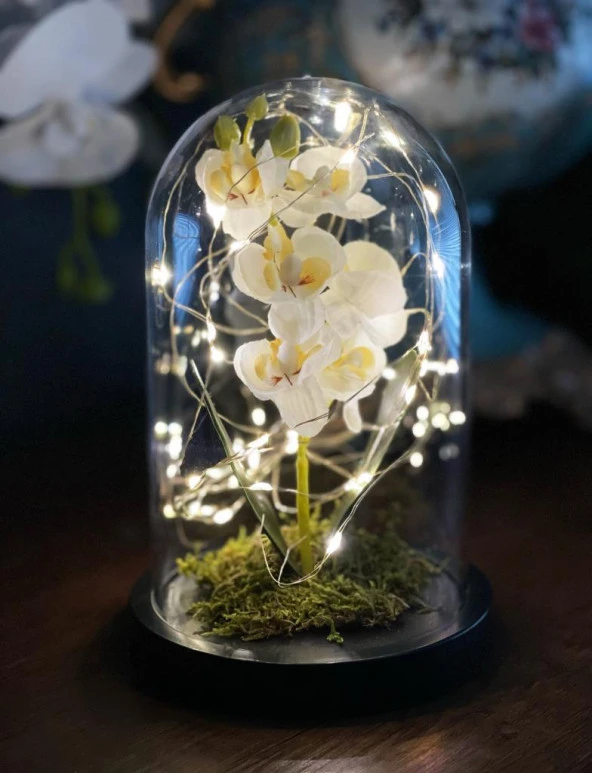 Nettenevime Faunus İçerisinde Işıklı Yapay Beyaz Orkide Anneler Günü Özel Hediye ürün görseli