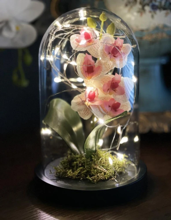 Faunus İçerisinde Işıklı Yapay Pembe Açık Orkide Anneler Günü Özel Hediye ürün görseli 1