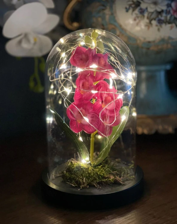 Nettenevime Faunus İçerisinde Işıklı Yapay Fuşya Orkide Anneler Günü Özel Hediye ürün görseli