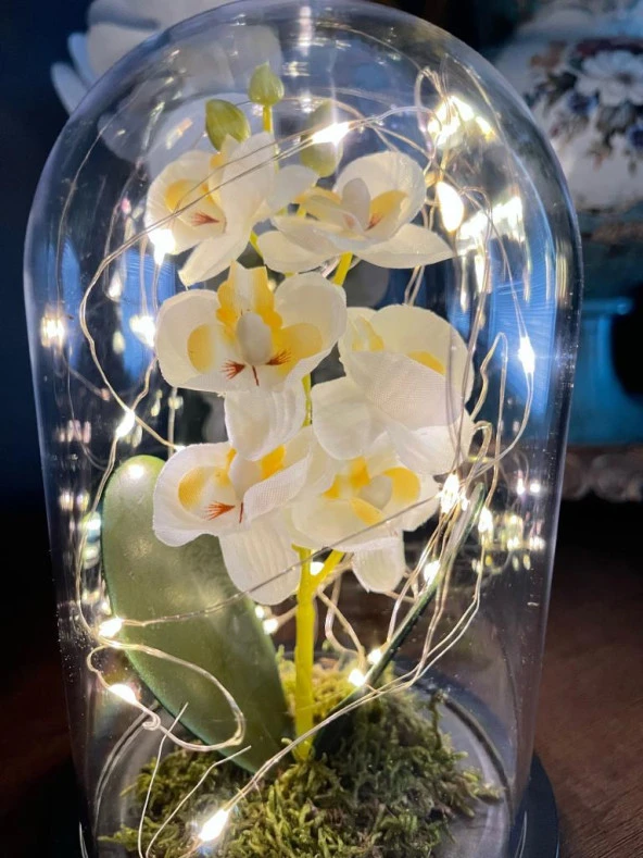 Nettenevime Faunus İçerisinde Işıklı Yapay Beyaz Orkide Anneler Günü Özel Hediye - Resim 3