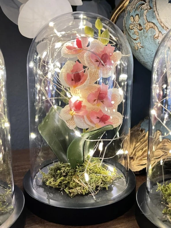 Faunus İçerisinde Işıklı Yapay Pembe Açık Orkide Anneler Günü Özel Hediye - Resim 3