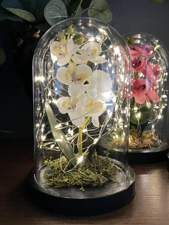 Nettenevime Faunus İçerisinde Işıklı Yapay Beyaz Orkide Anneler Günü Özel Hediye - Resim 5