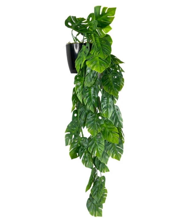 Nettenevime Yapay Çiçek Saksıda Sarkan Monstera Deve Tabanı Yapay Sarmaşık Pastel 60cm - Resim 5
