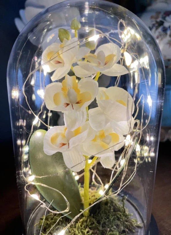 Nettenevime Faunus İçerisinde Işıklı Yapay Beyaz Orkide Anneler Günü Özel Hediye - Resim 6