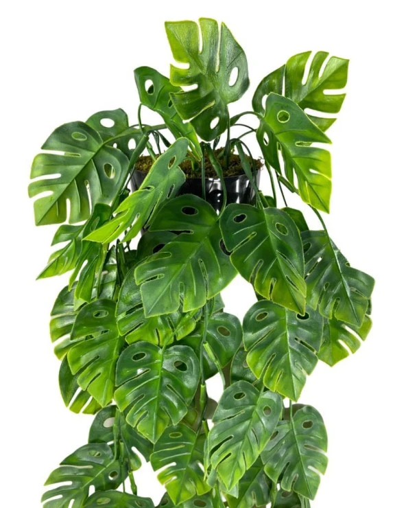 Nettenevime Yapay Çiçek Saksıda Sarkan Monstera Deve Tabanı Yapay Sarmaşık Pastel 60cm - Resim 6